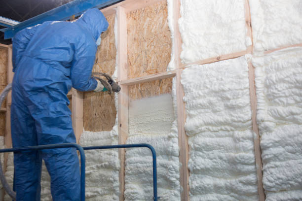 Best Blown-In Insulation in USA